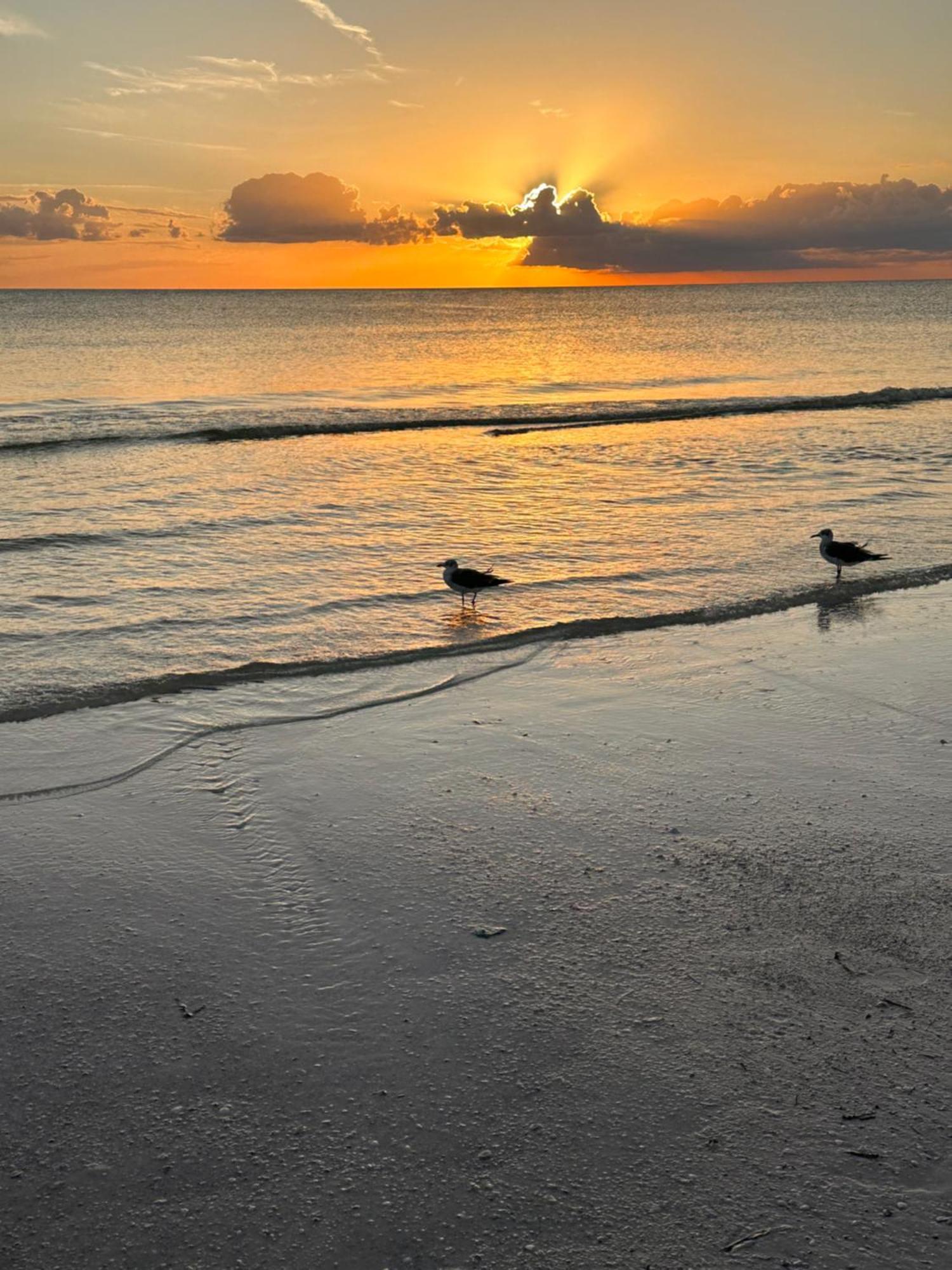 Sea Crest Aparthotel Point O'Rocks Bagian luar foto