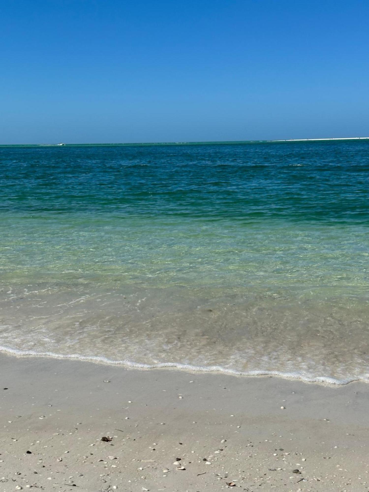 Sea Crest Aparthotel Point O'Rocks Bagian luar foto
